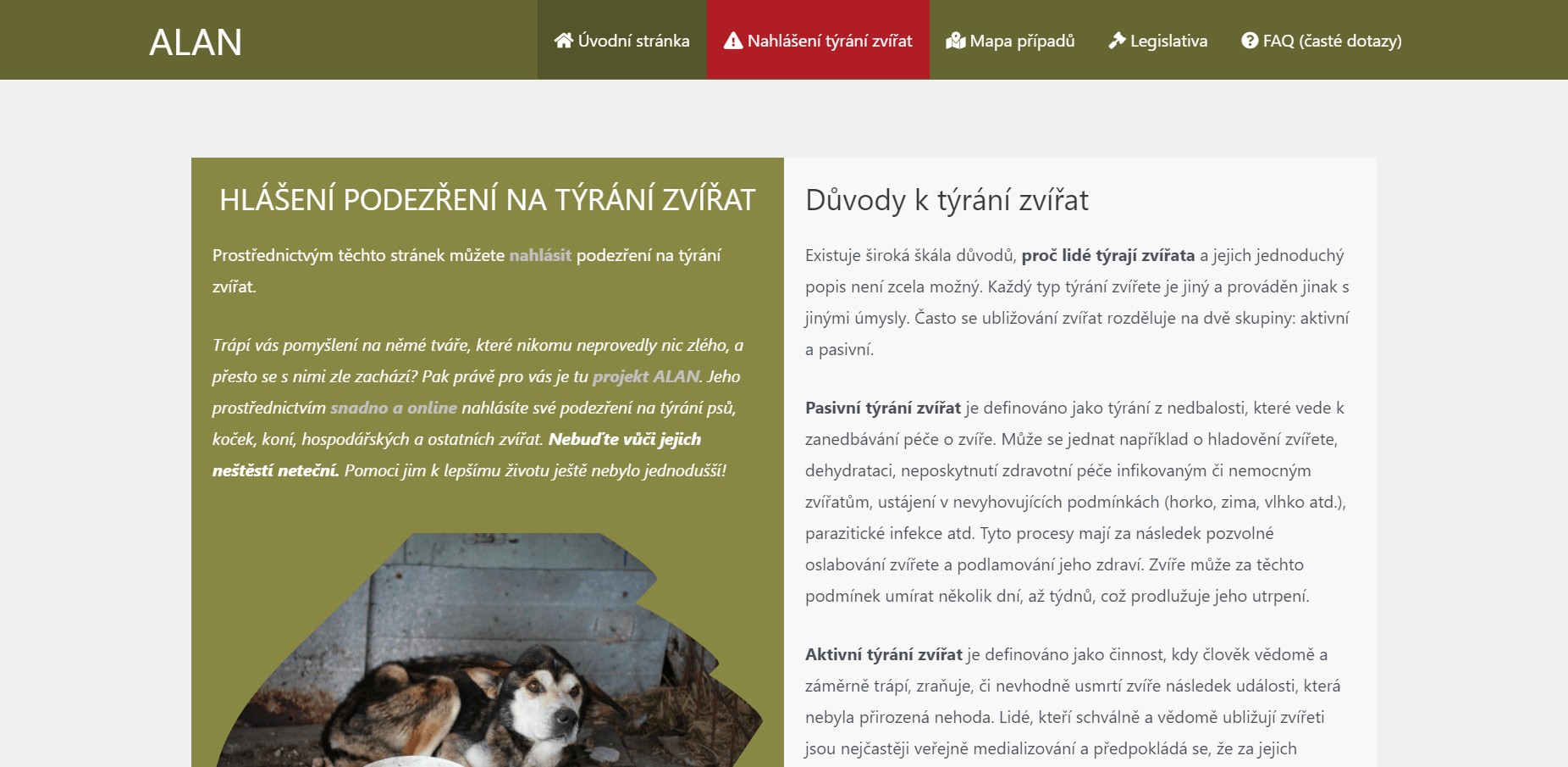Snímek obrazovky alan.dog-point.cz